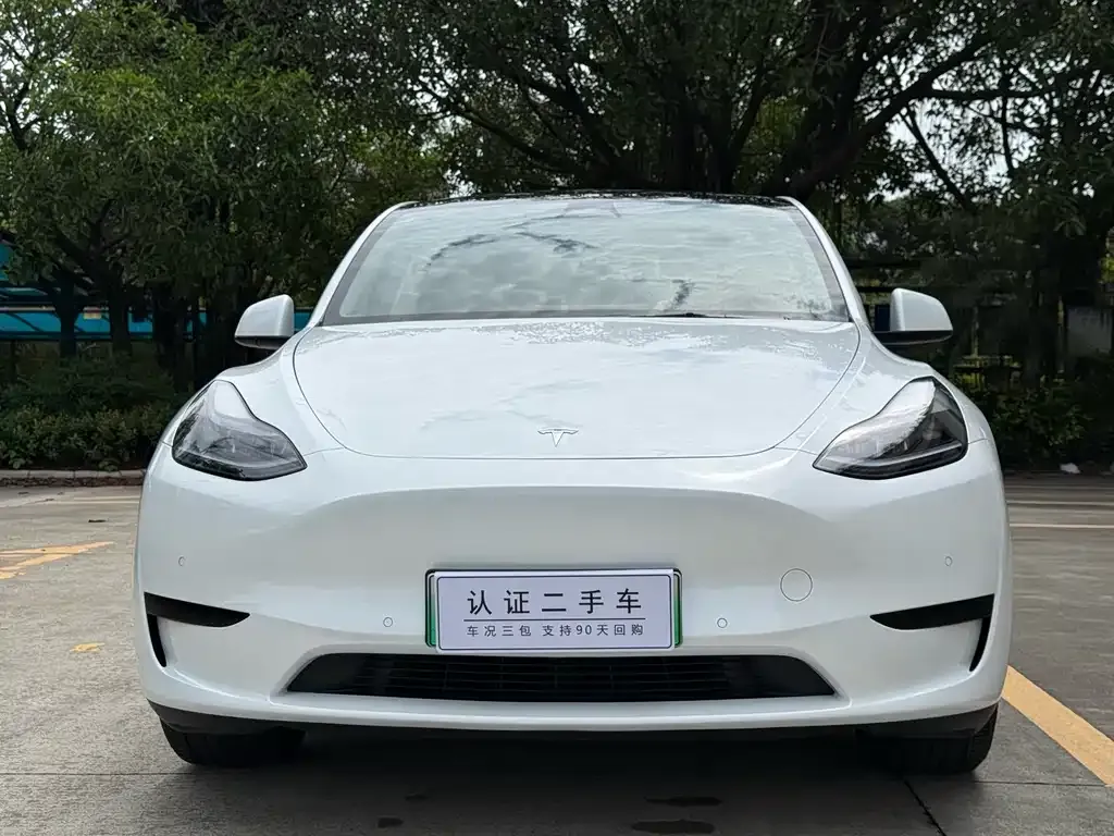 Tesla Model Y — фото 3
