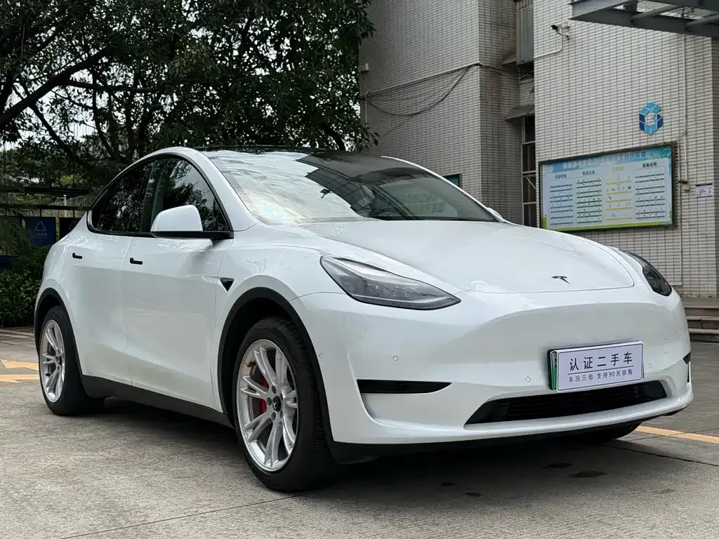 Tesla Model Y — фото 10