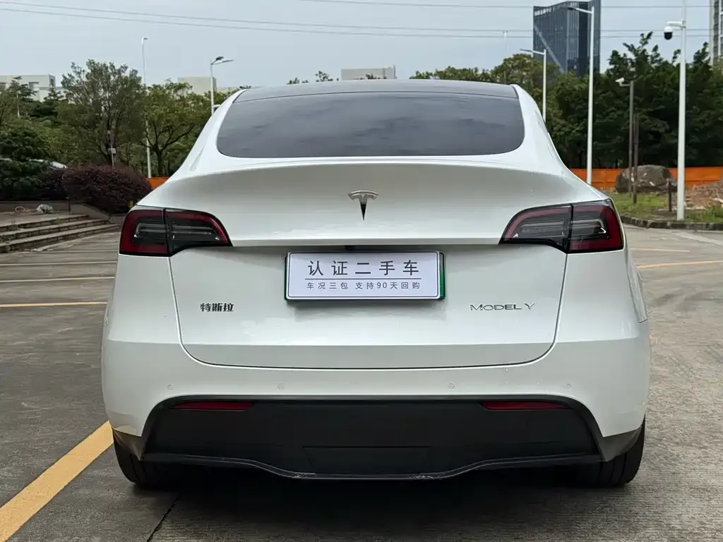 Tesla Model Y — фото 6