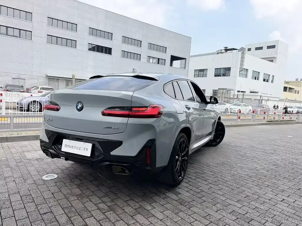 BMW X4 2023 из CN, фото 10