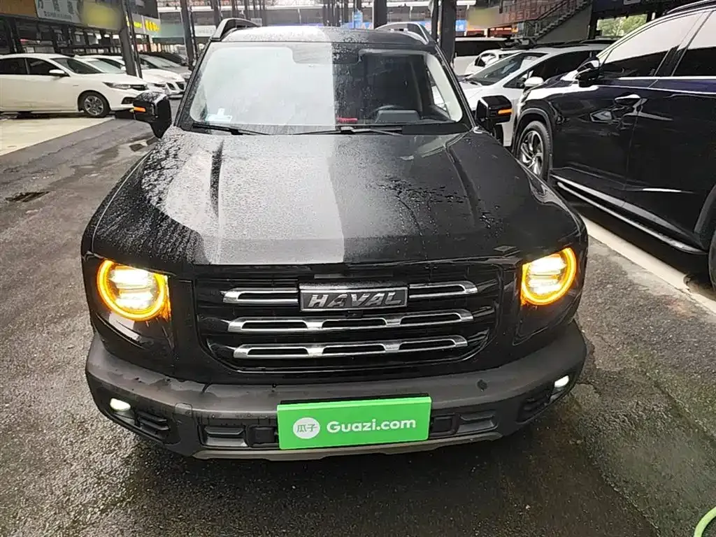 Haval Big Dog 2023 из CN, фото 5