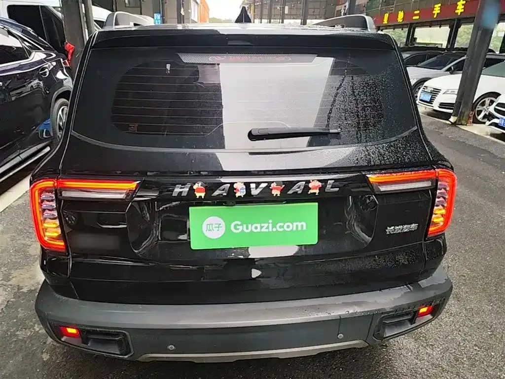 Haval Big Dog 2023 из CN, фото 7