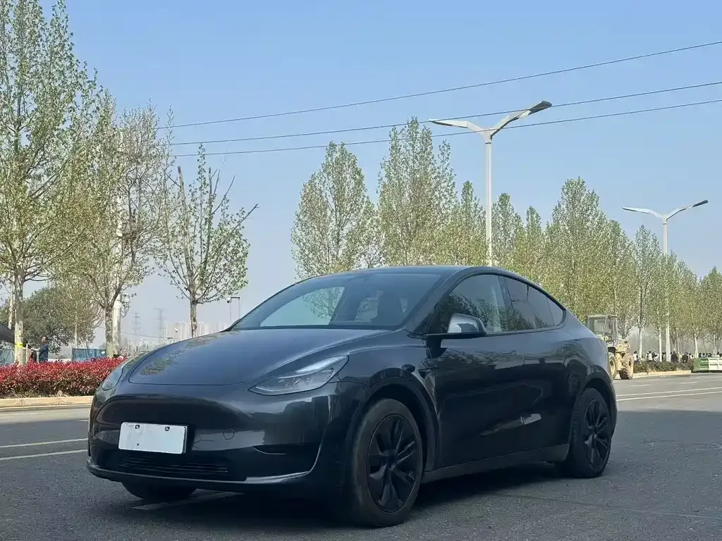 Tesla Model Y — фото 1
