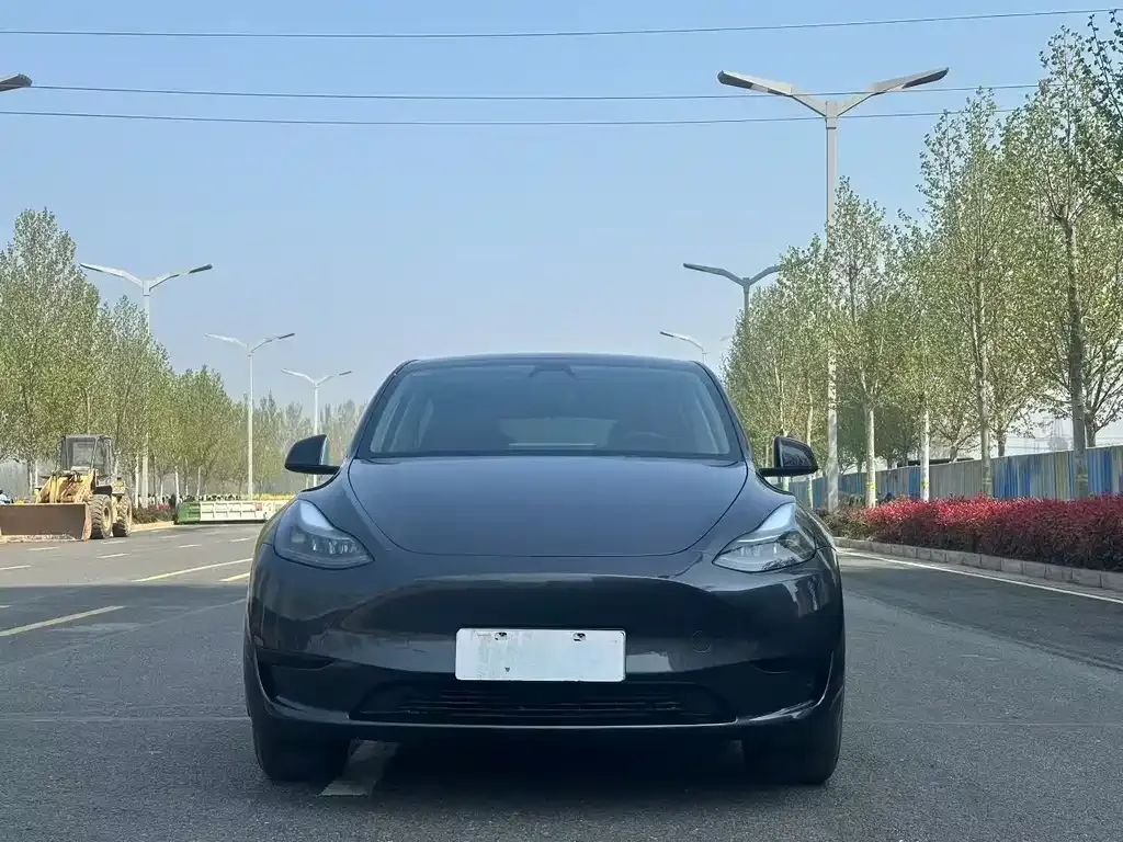 Tesla Model Y — фото 5