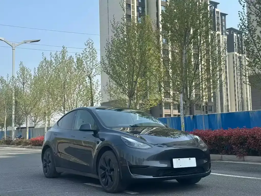 Tesla Model Y — фото 8