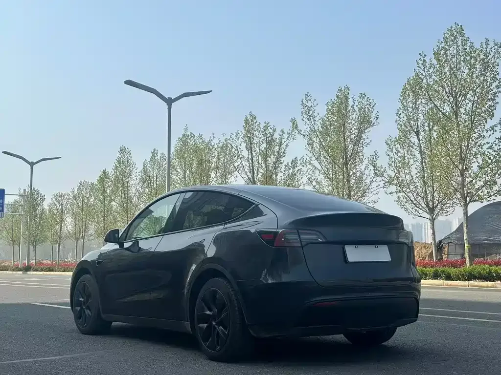 Tesla Model Y — фото 6