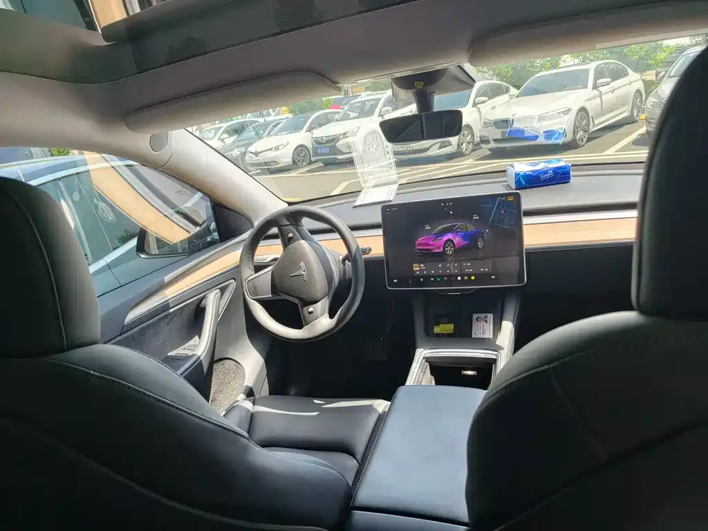 Tesla Model Y — фото 10