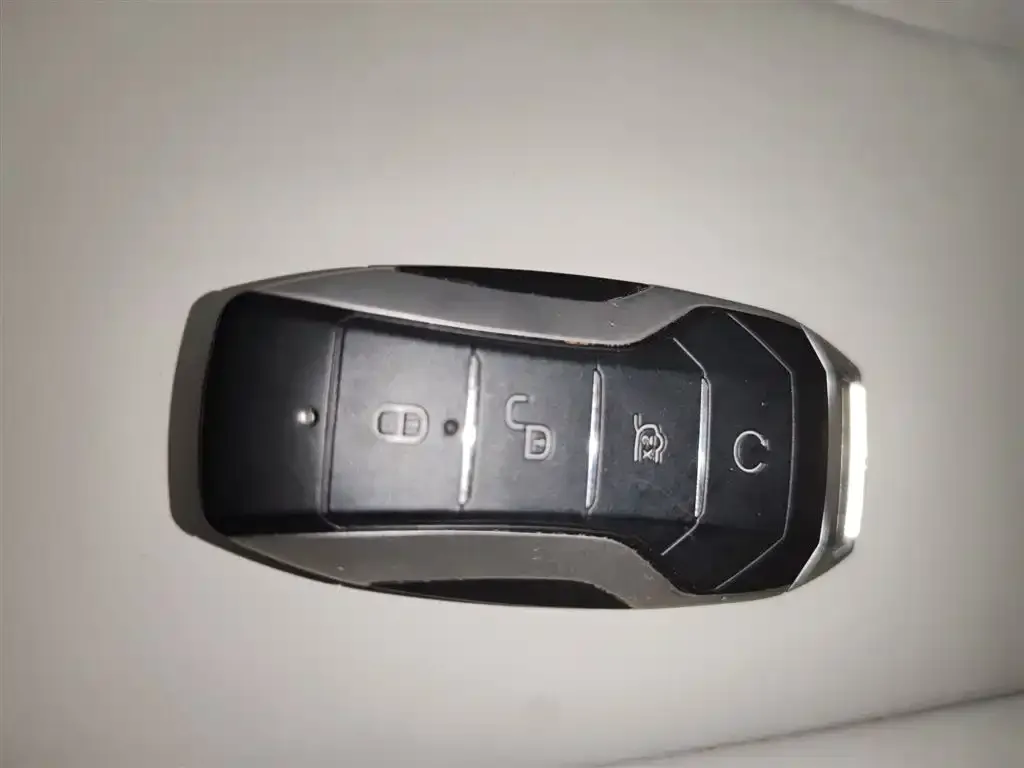 BYD PLUS New Energy 2023 из CN, фото 2