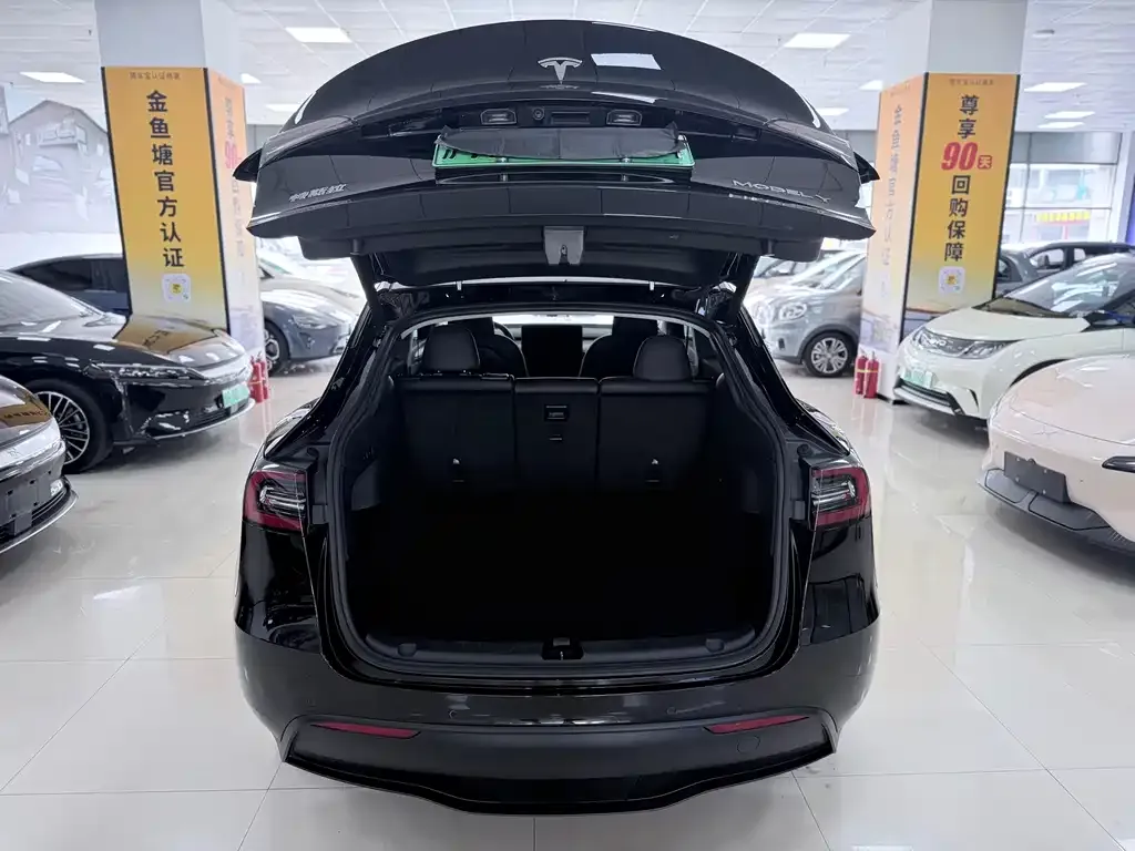 Tesla Model Y — фото 8