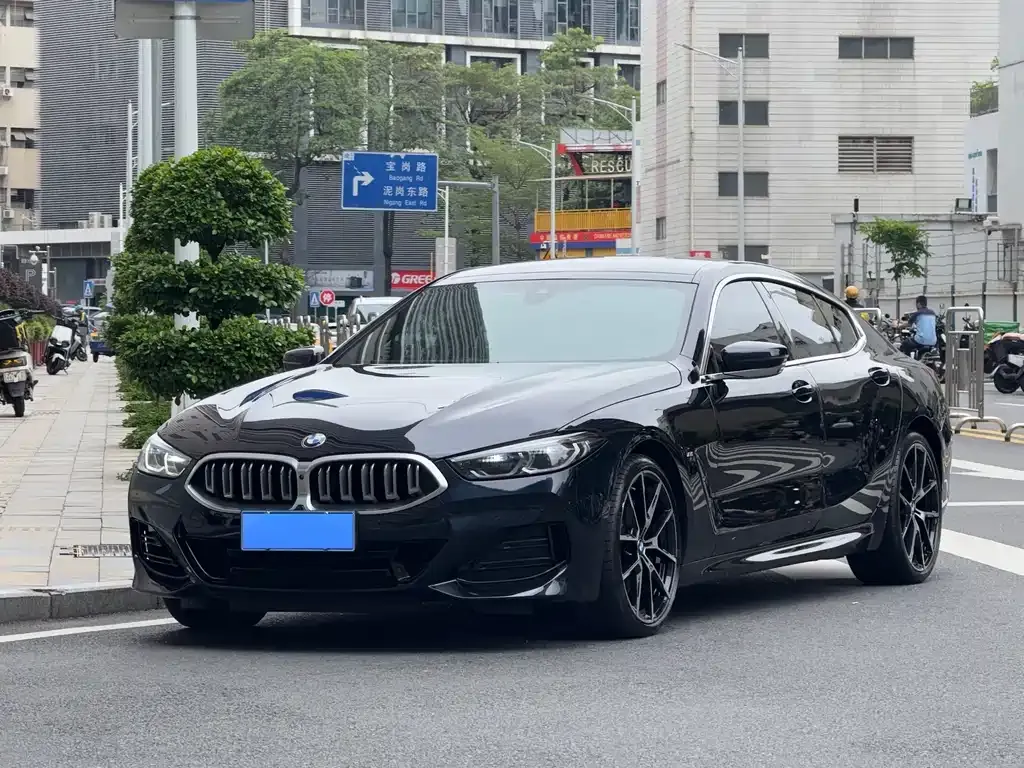 BMW 8 Series — фото 1