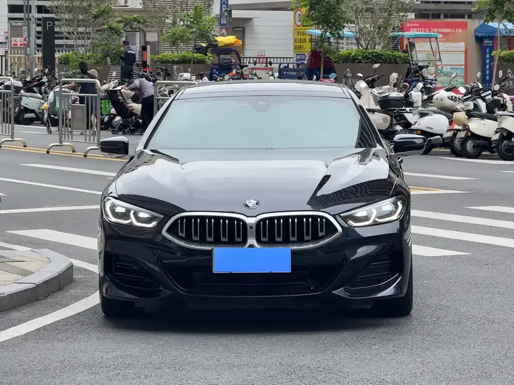 BMW 8 Series — фото 10