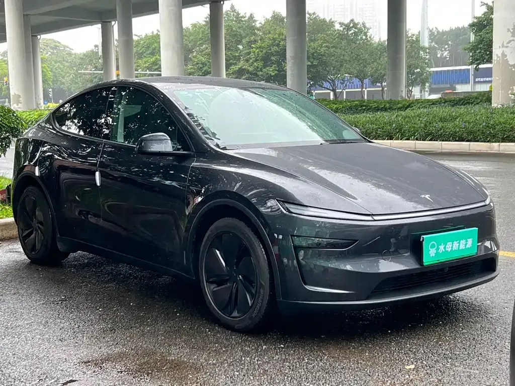 Tesla Model Y — фото 5