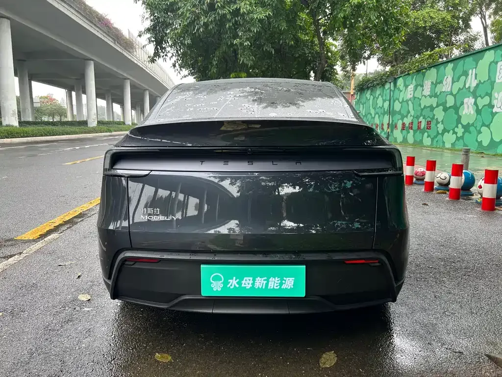 Tesla Model Y — фото 10