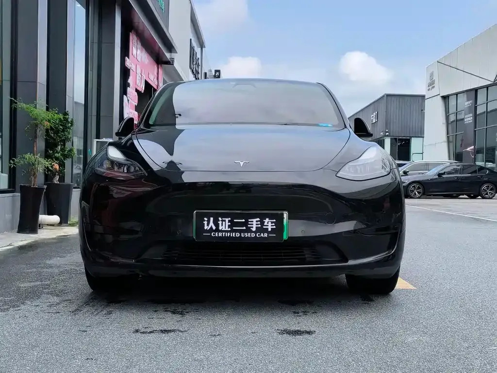 Tesla Model Y — фото 2