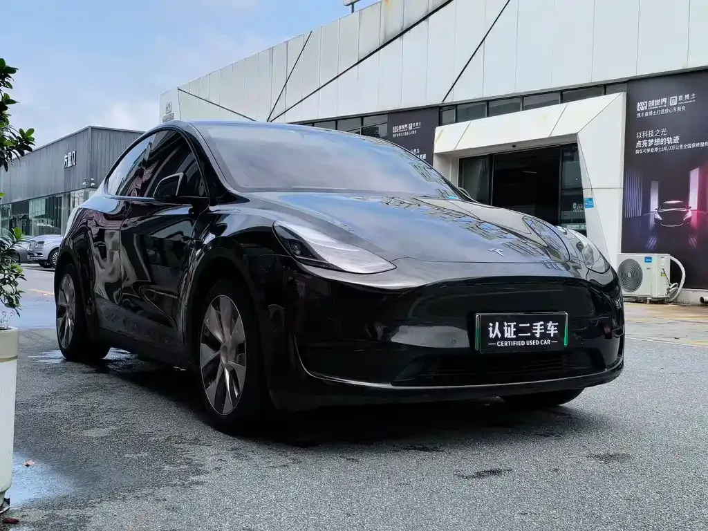 Tesla Model Y — фото 7