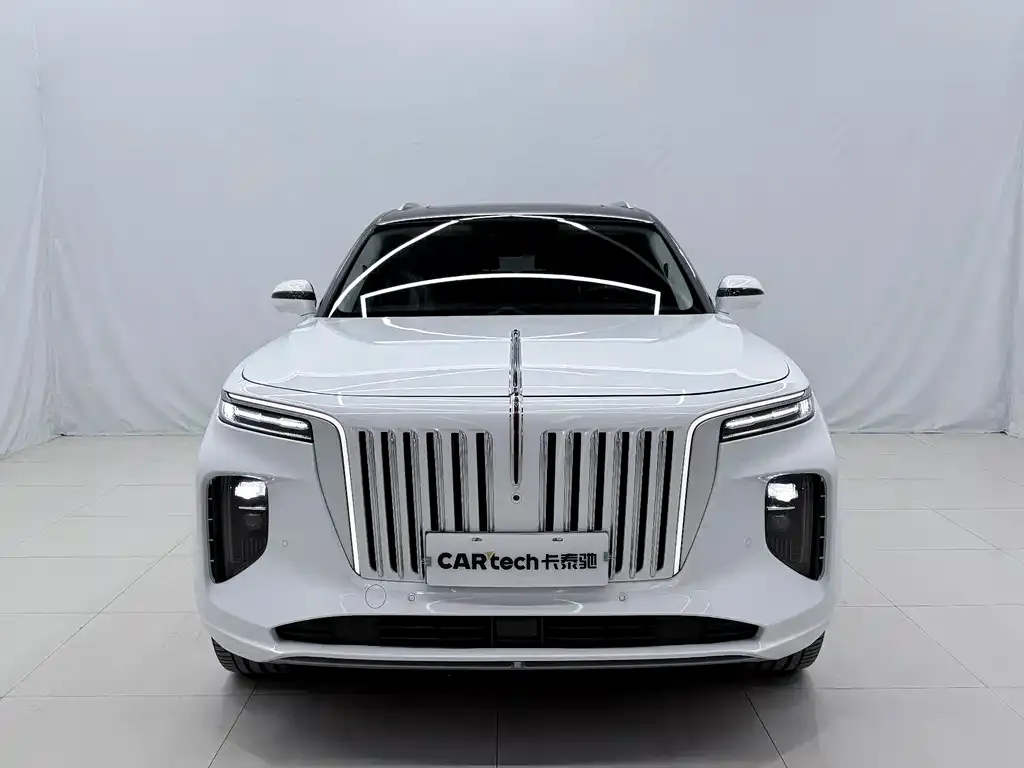 Hongqi E-HS9 2023 из CN, фото 10