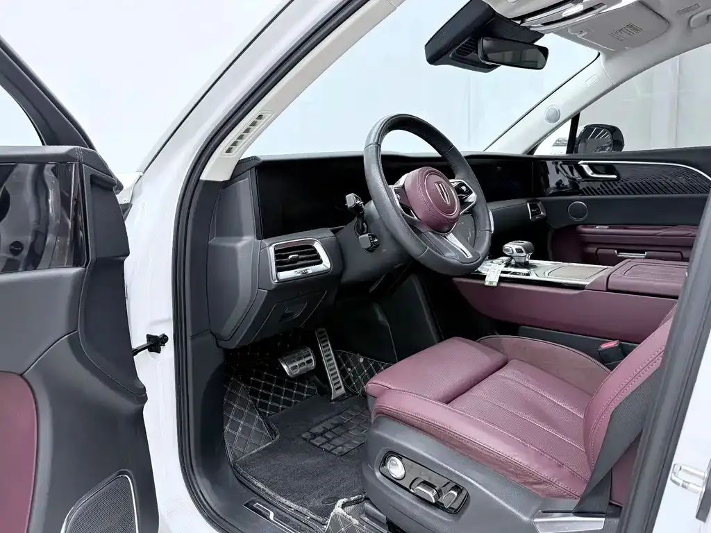 Hongqi E-HS9 2023 из CN, фото 3