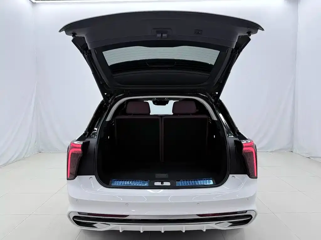 Hongqi E-HS9 2023 из CN, фото 9