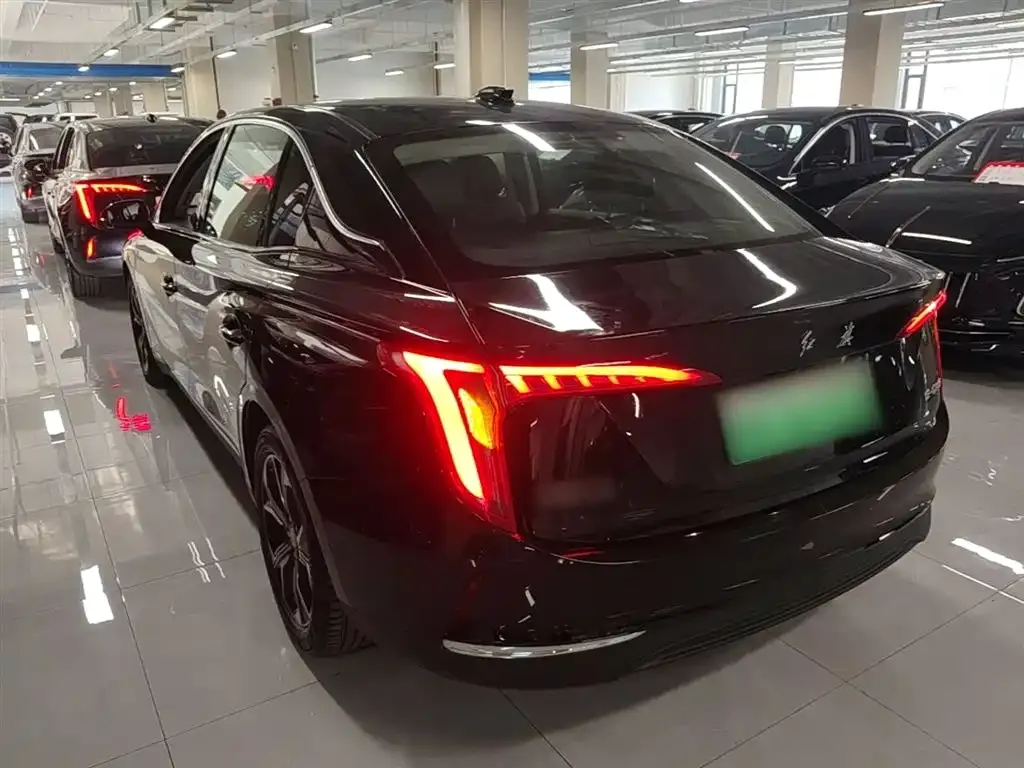 Hongqi E-QM5 — фото 7