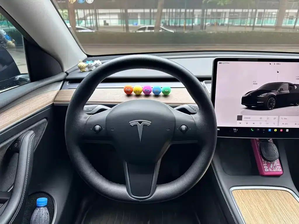 Tesla Model Y — фото 6