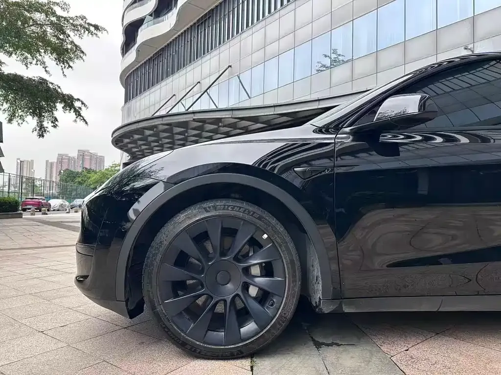 Tesla Model Y — фото 10