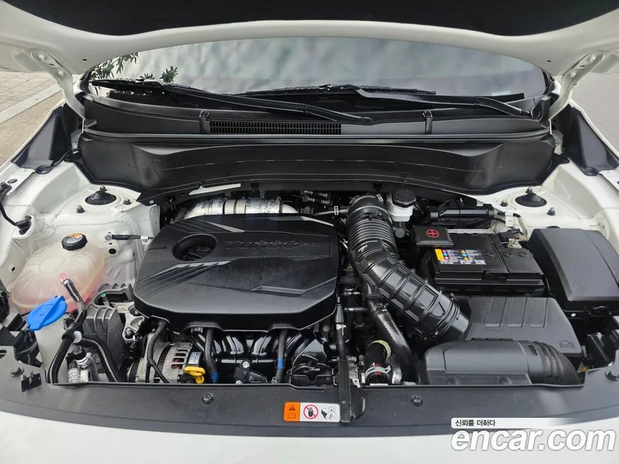 Kia Seltos 2022 из KR, фото 8
