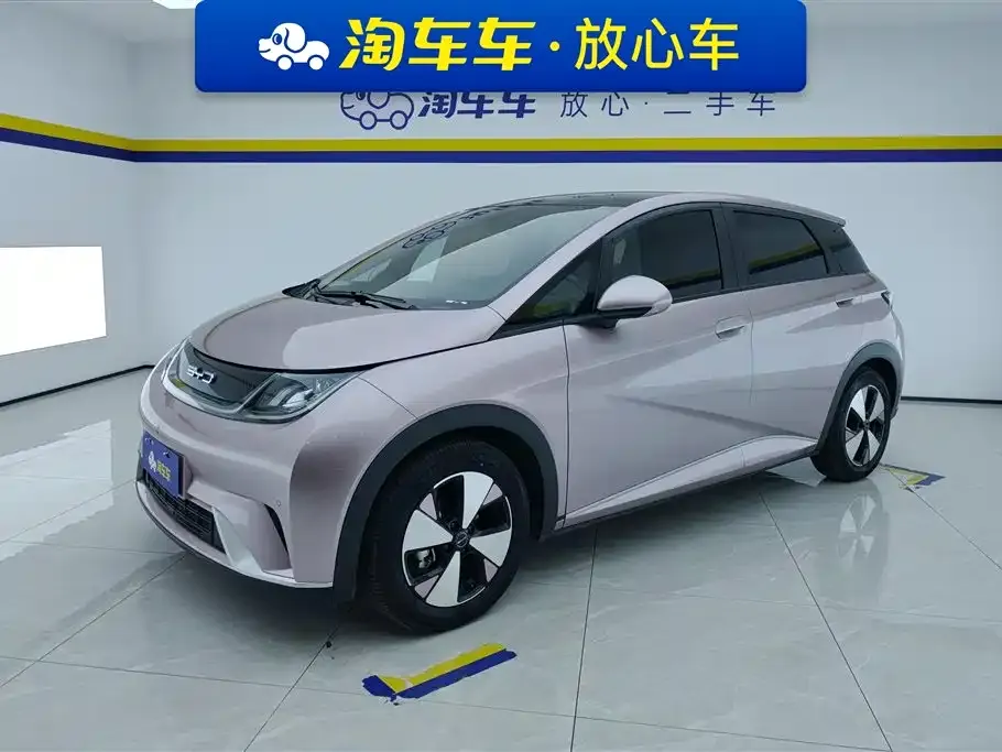 BYD Dolphin