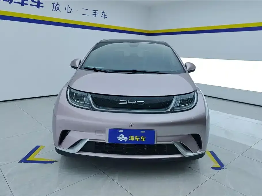 BYD Dolphin 2023 из CN, фото 2