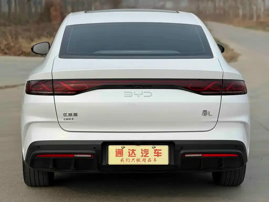 BYD Qin L — фото 3