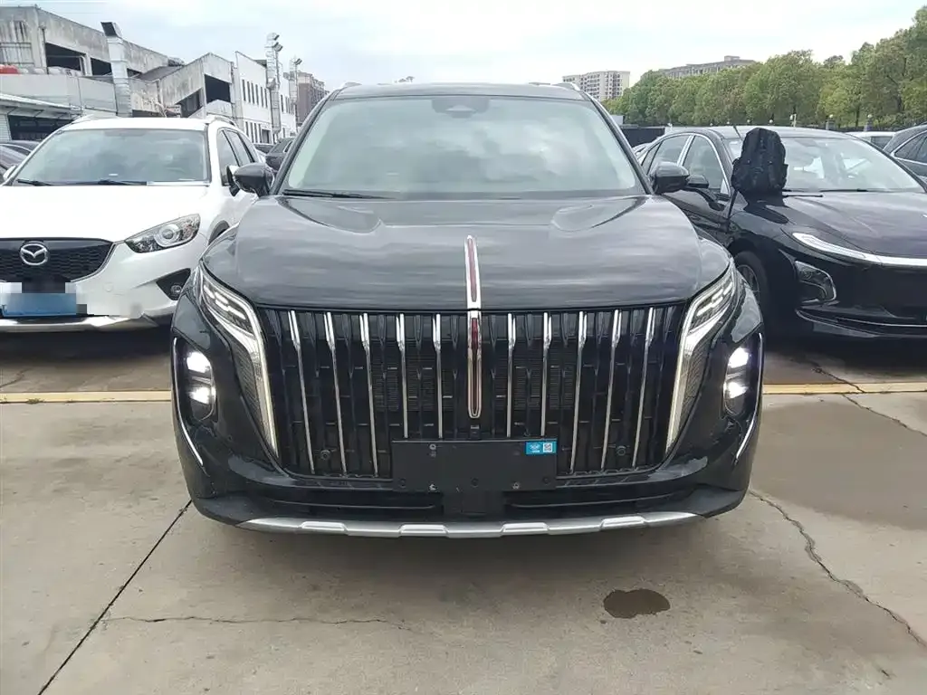 Hongqi HS7 PHEV 2024 из CN, фото 2