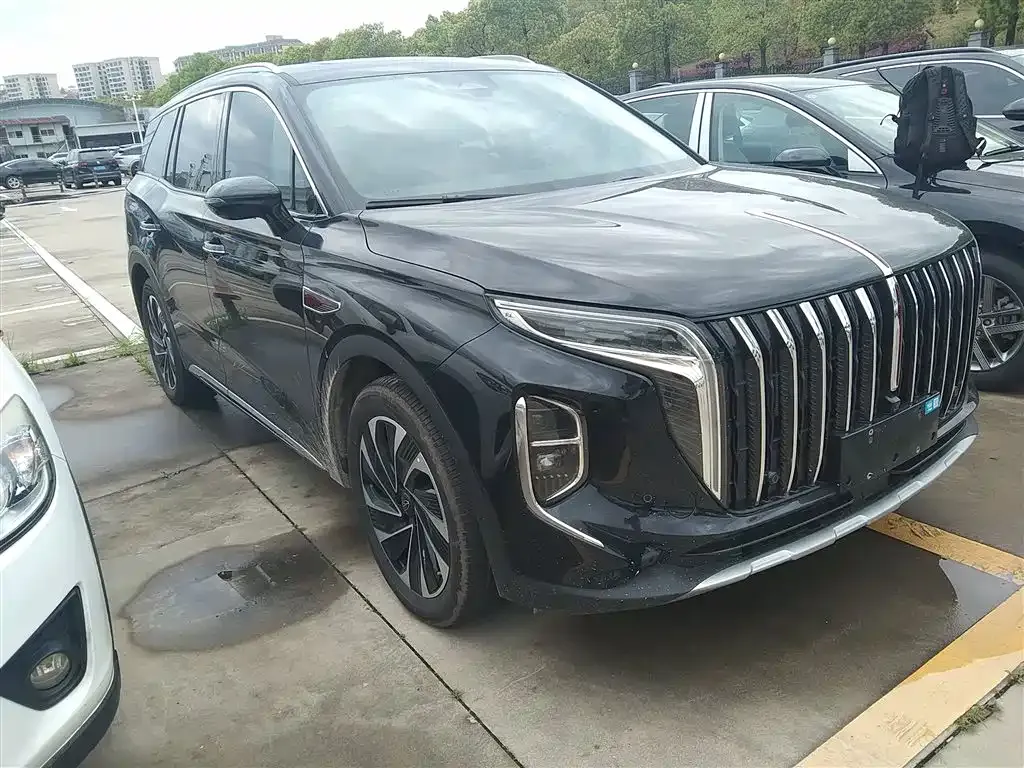 Hongqi HS7 PHEV 2024 из CN, фото 9