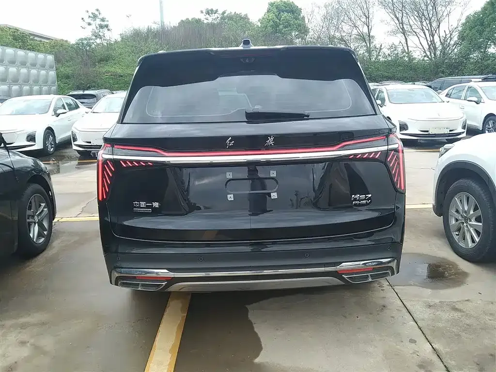 Hongqi HS7 PHEV 2024 из CN, фото 8