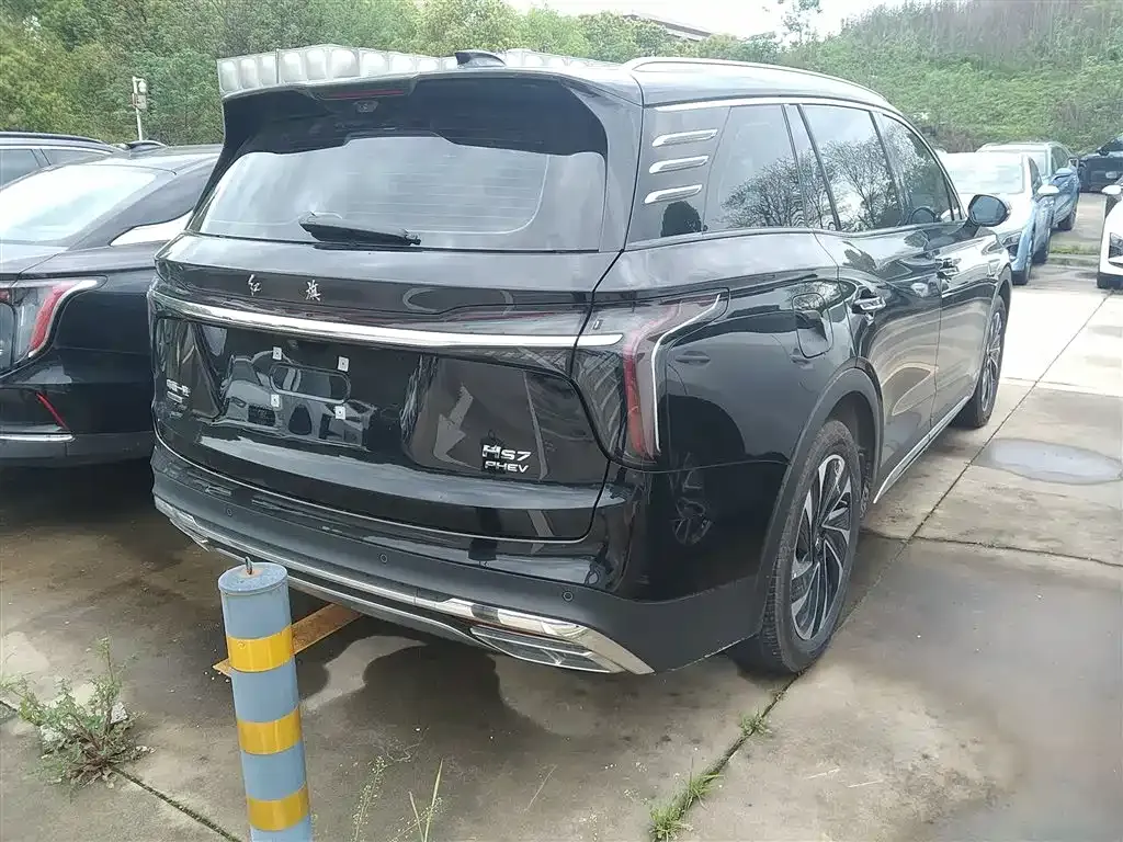 Hongqi HS7 PHEV 2024 из CN, фото 6