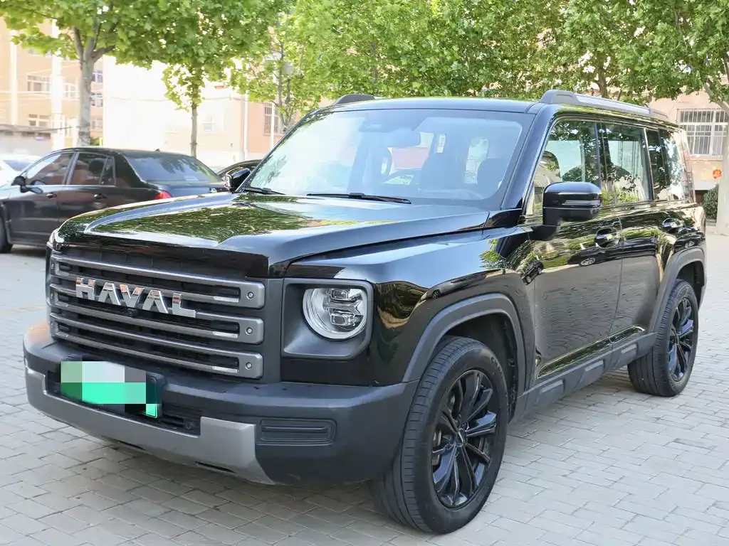 Haval Menglong New Energy — фото 1