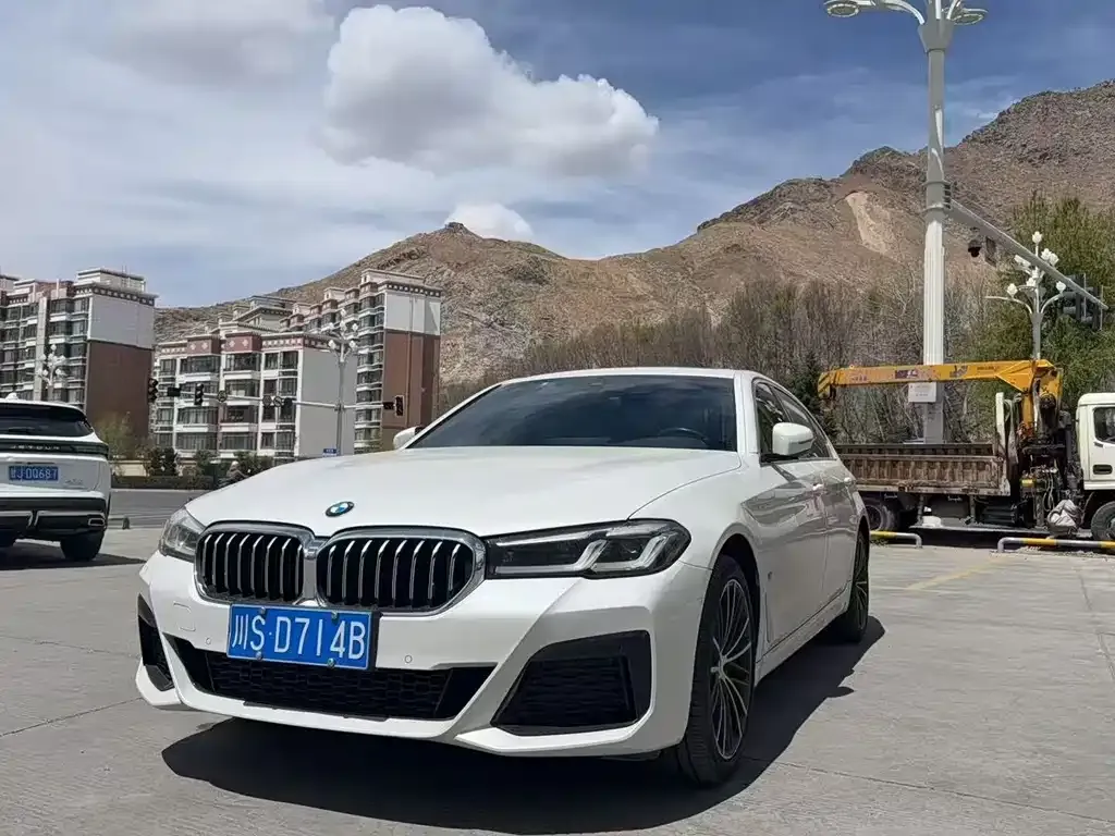 BMW 5 Series 2022 из CN, фото 1