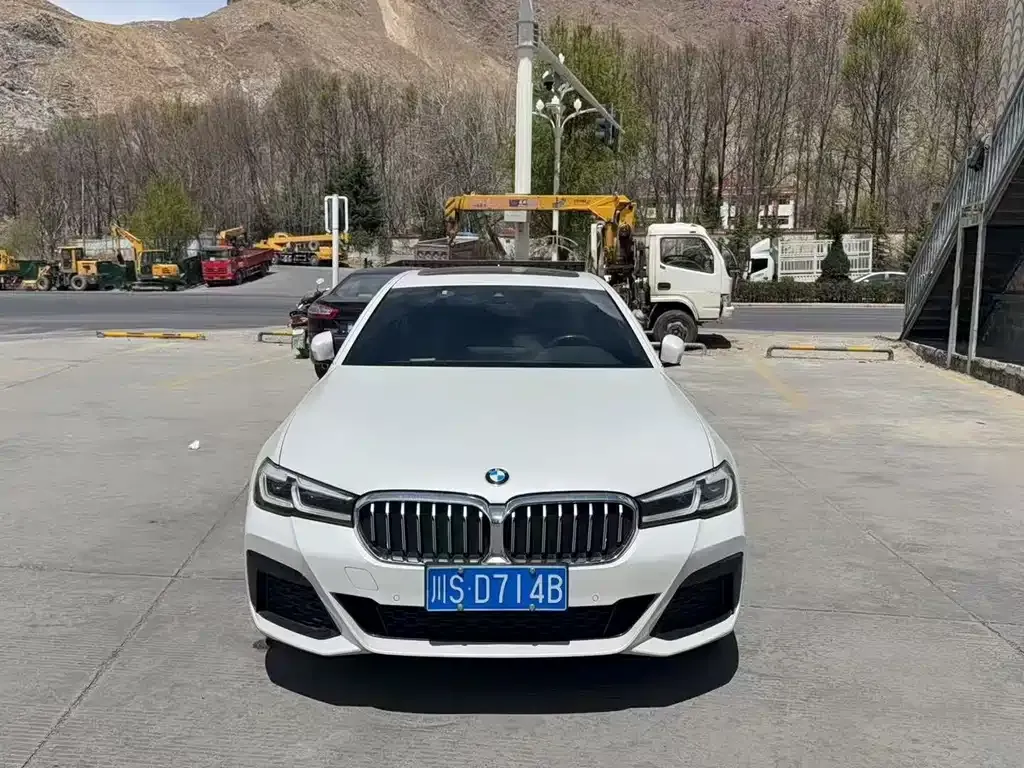 BMW 5 Series 2022 из CN, фото 5
