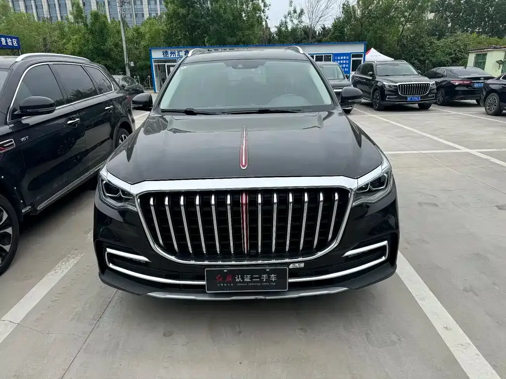 Hongqi HS7 2023 из CN, фото 7