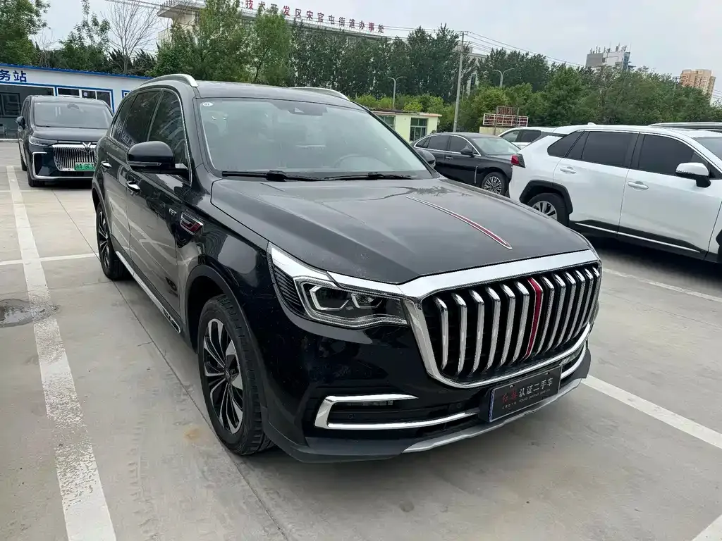 Hongqi HS7 2023 из CN, фото 10