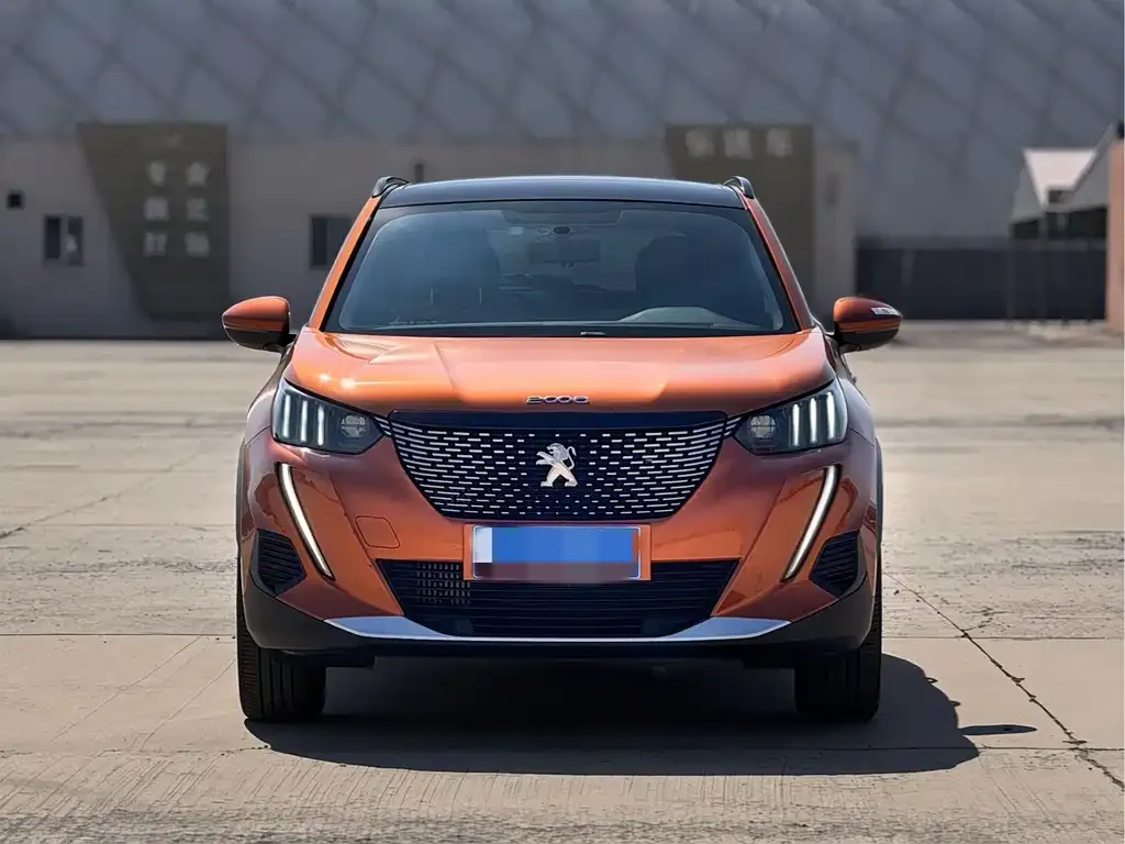 Peugeot 2008 2022 из CN, фото 10