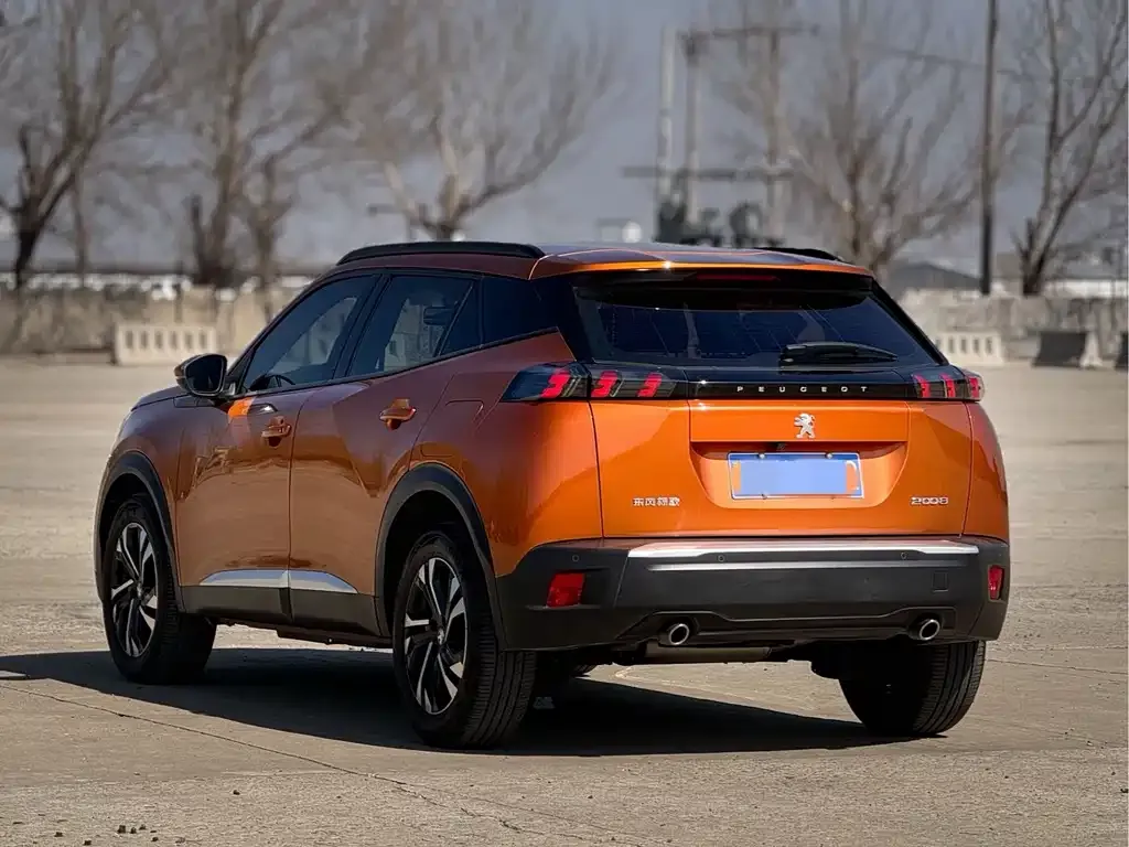 Peugeot 2008 2022 из CN, фото 5