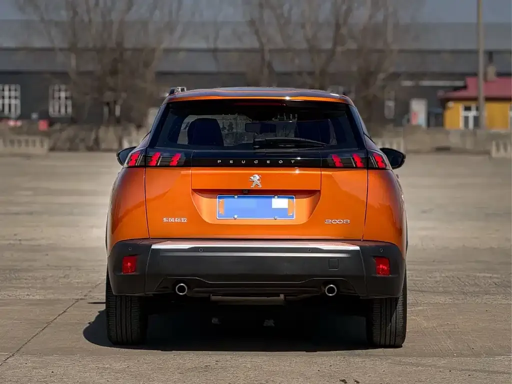Peugeot 2008 2022 из CN, фото 6