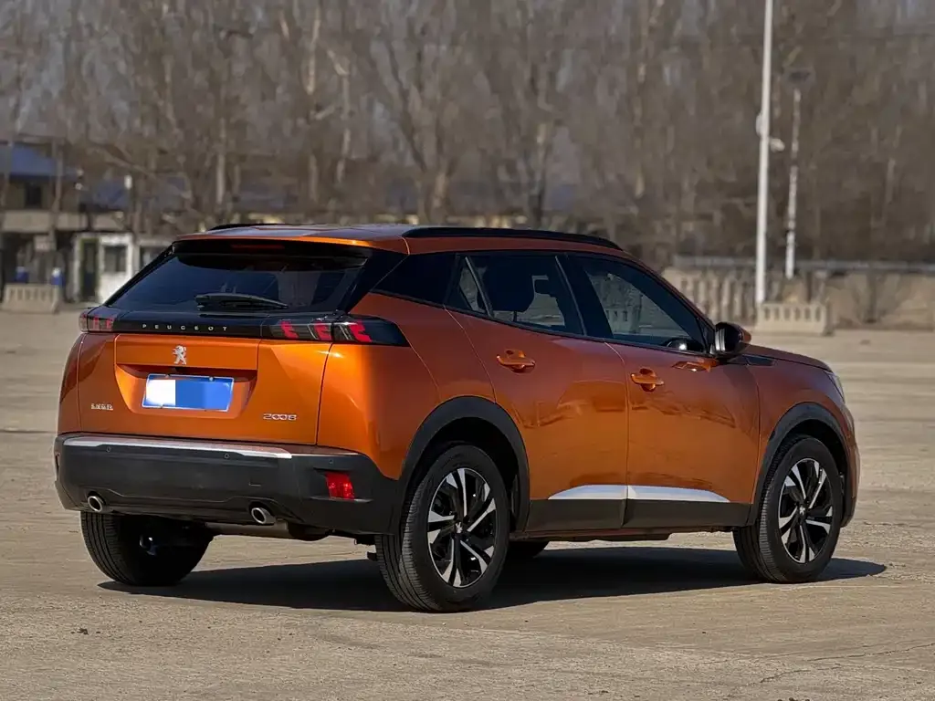 Peugeot 2008 2022 из CN, фото 8