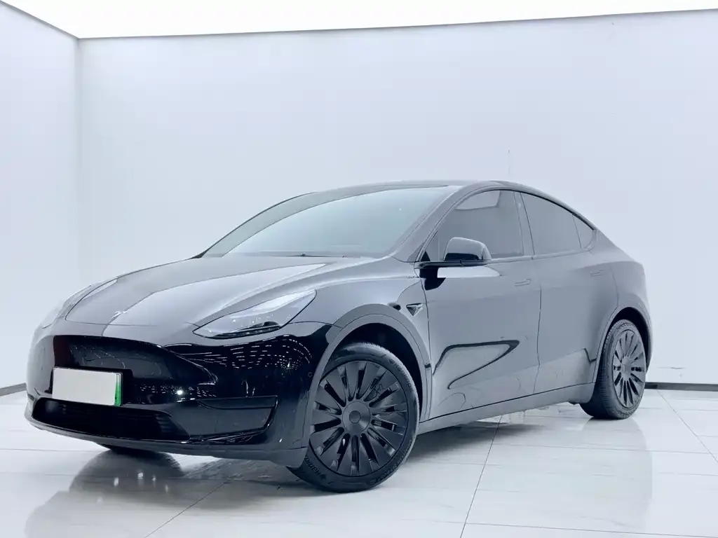 Tesla Model Y — фото 1