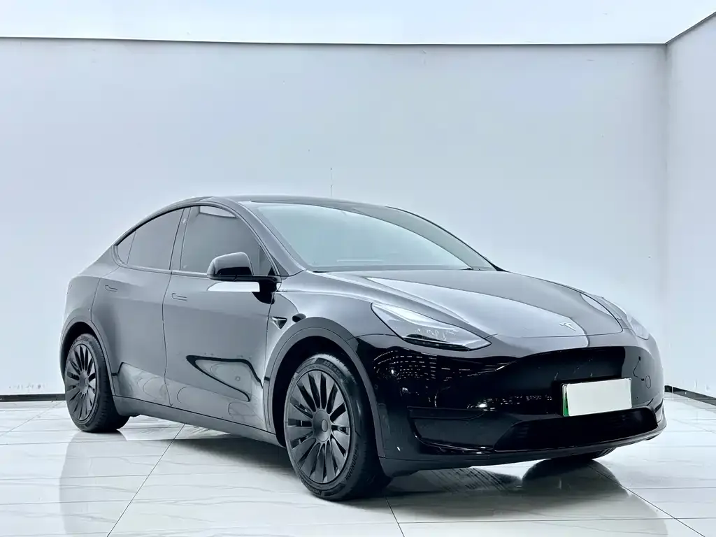 Tesla Model Y — фото 8