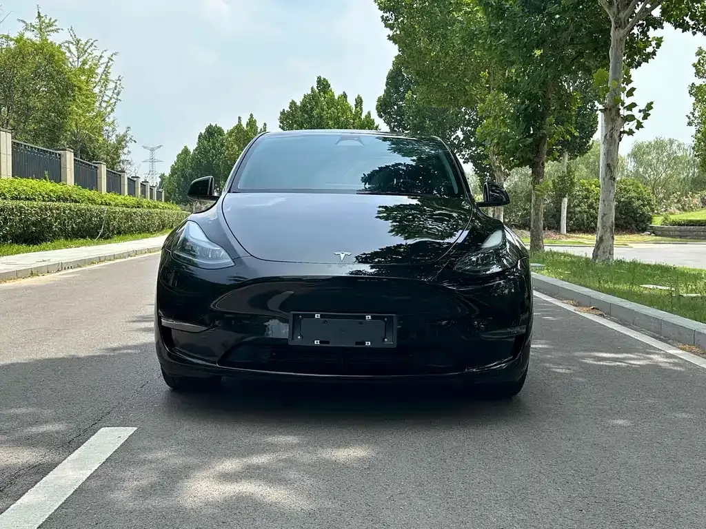 Tesla Model Y — фото 5