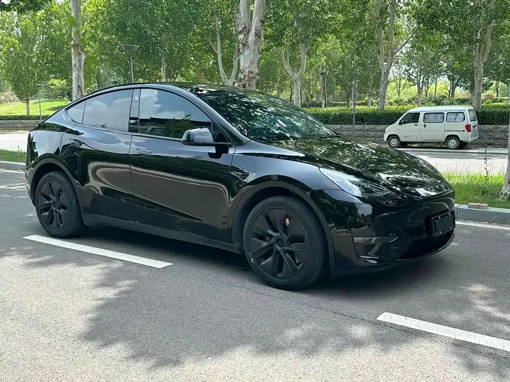 Tesla Model Y — фото 9