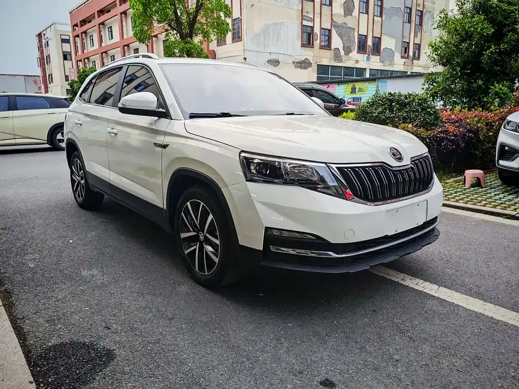 Skoda Kamiq 2022 из CN, фото 6