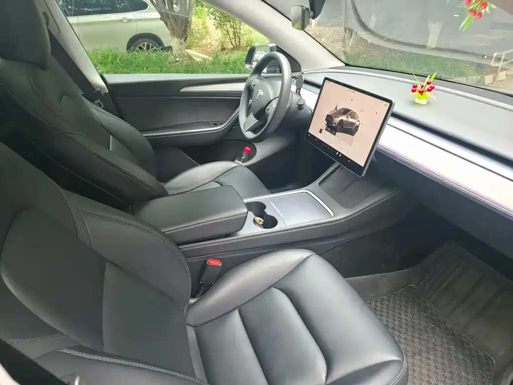 Tesla Model Y — фото 8