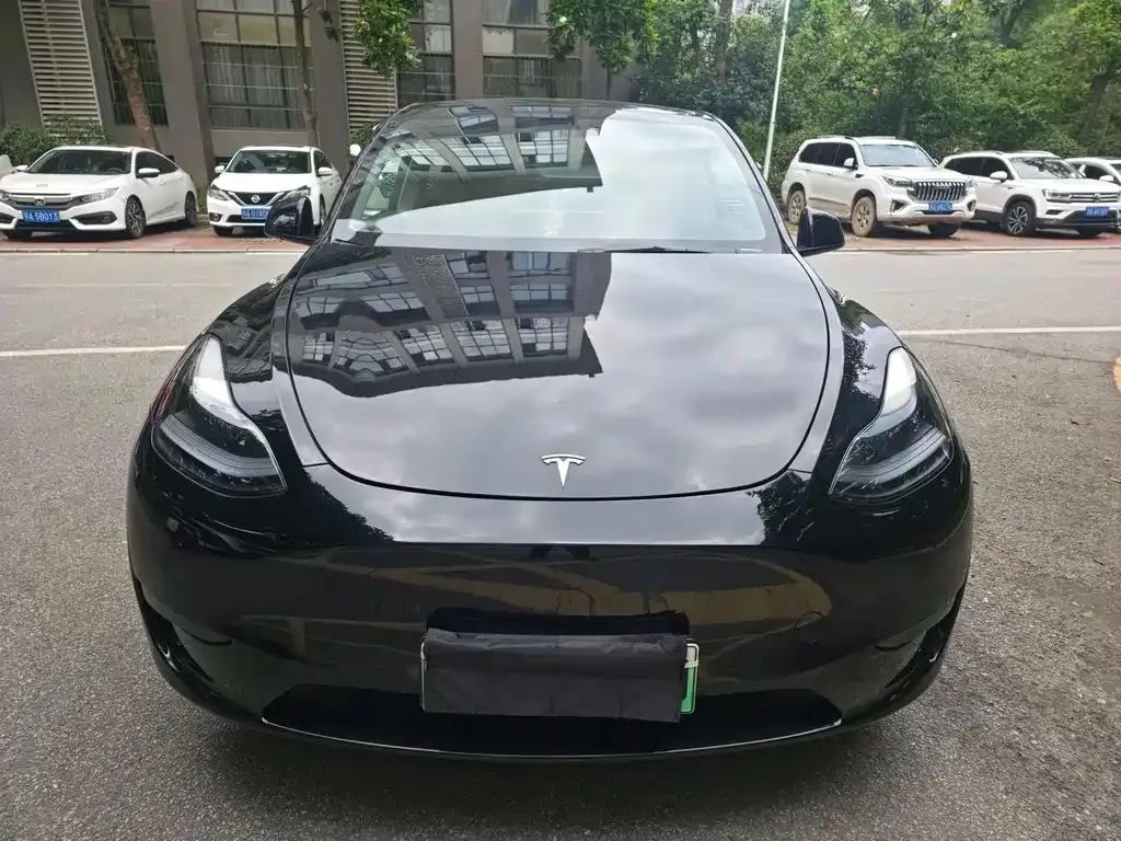 Tesla Model Y — фото 2