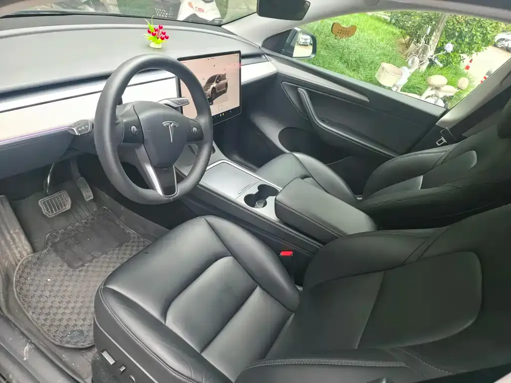 Tesla Model Y — фото 10